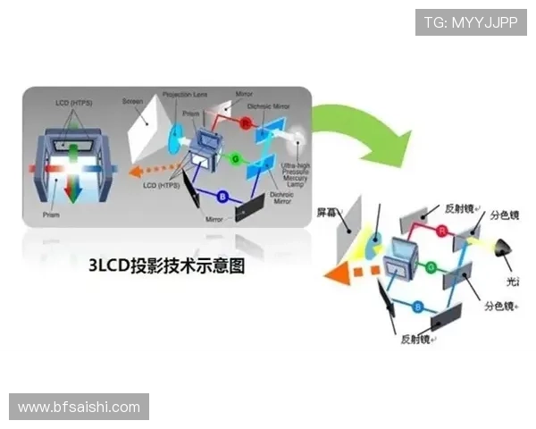 bet全场波胆避坑指南泛体育平台对比评测